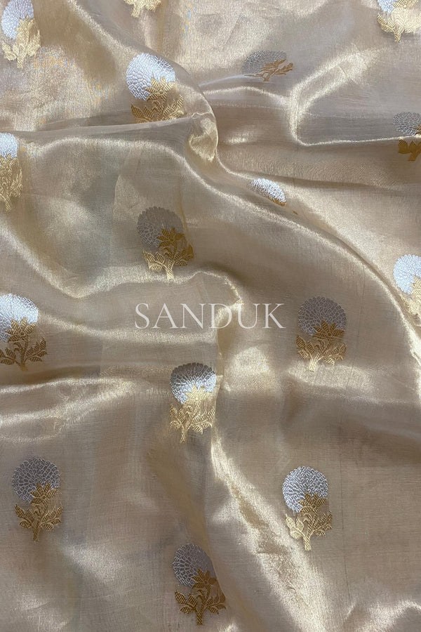 Nita Tissue Silk (Saree)