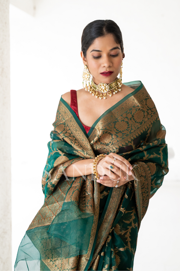 Jeevni (Saree)