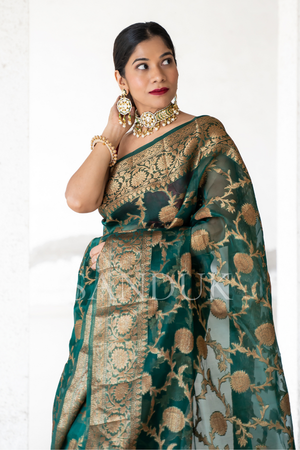 Jeevni (Saree)