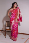 Gulabo (Saree)