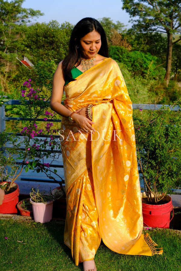 Yuvika (Saree)
