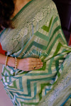 Veena (Green Shade Saree)