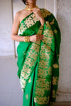 Dhaani (Saree)